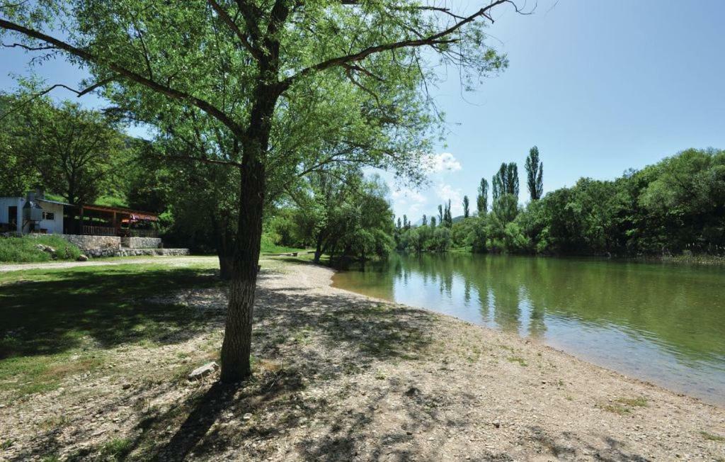 Apartment Kraljevic Blato na Cetini Kültér fotó